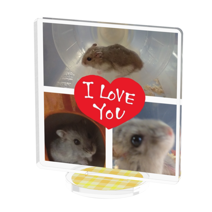 アクリルフィギュア - 50x50mm