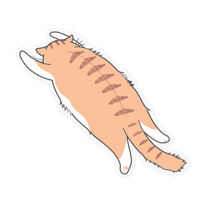 ステッカー - 100 x 100 (mm)クリア