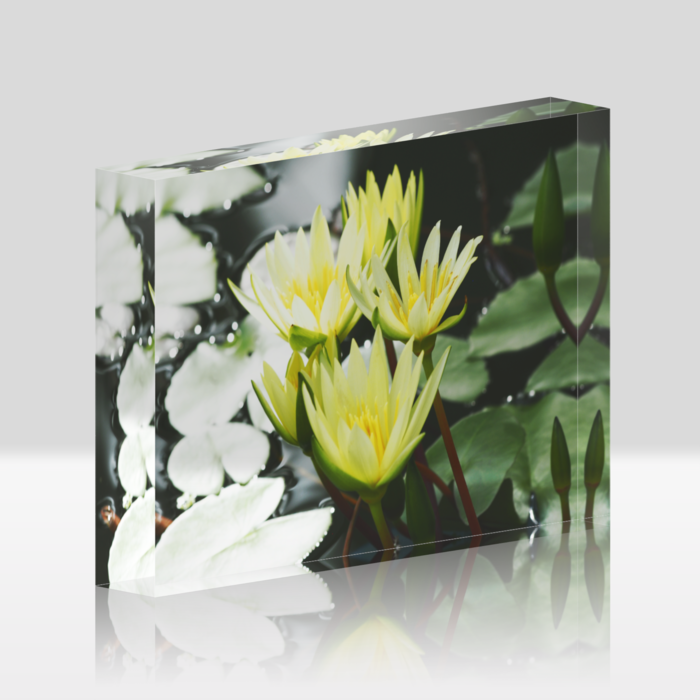 アクリルブロック - 148x100mm