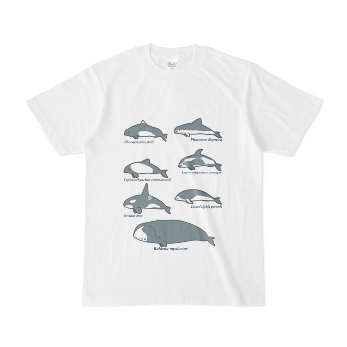Tシャツ - S - 白