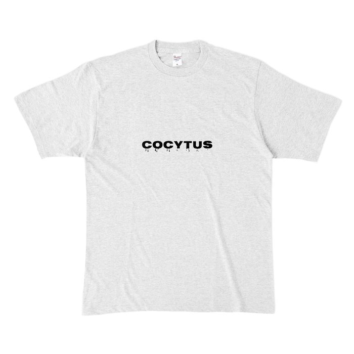 カラーTシャツ(淡色) - XL - アッシュ