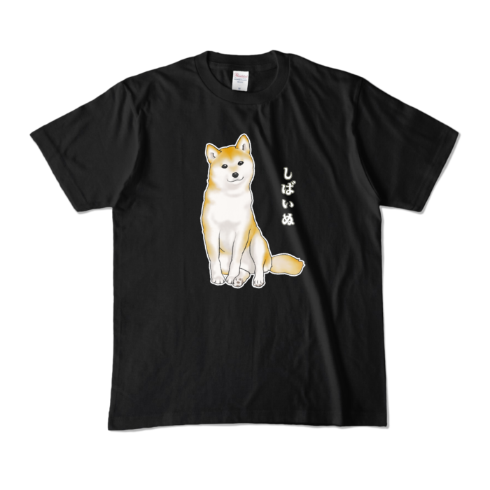 カラーTシャツ - M - ブラック (濃色) / Size M, Black