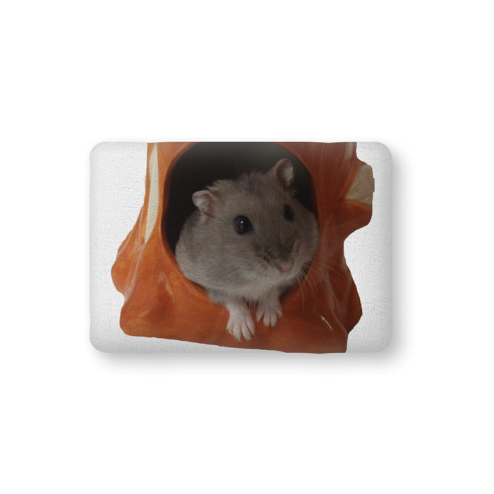 ふかふかクッション - 中（H36×W56cm） - 片面