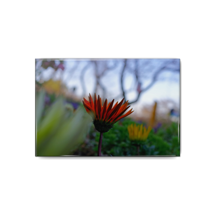 缶バッジ - 80x54mm