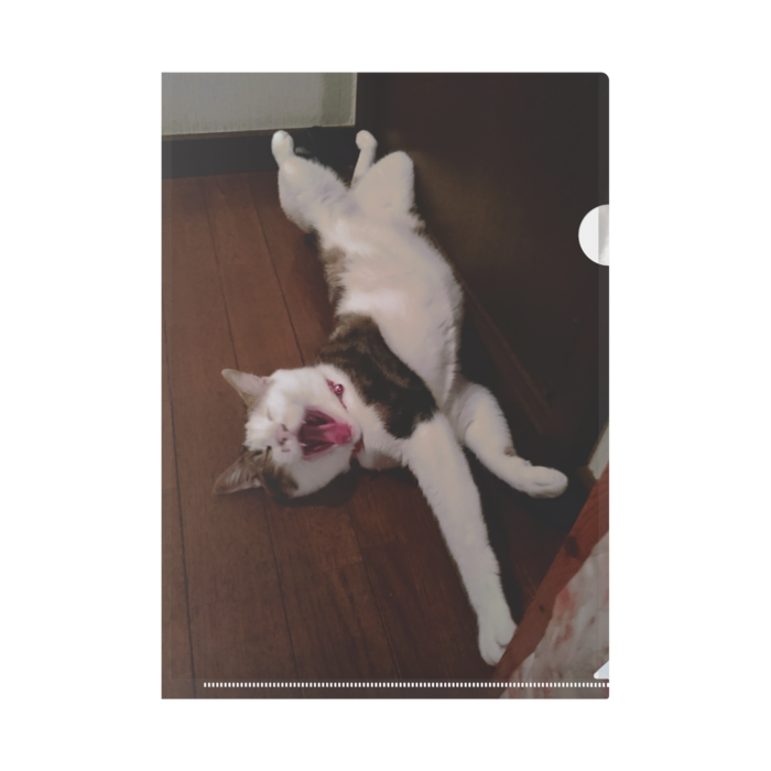 クリアファイル - A4