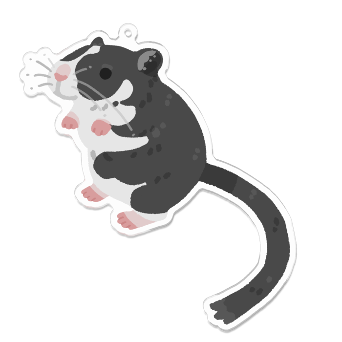 アクリルキーホルダー - 100 x 100 (mm)