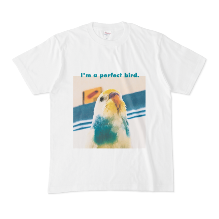 Tシャツ - M - 正面