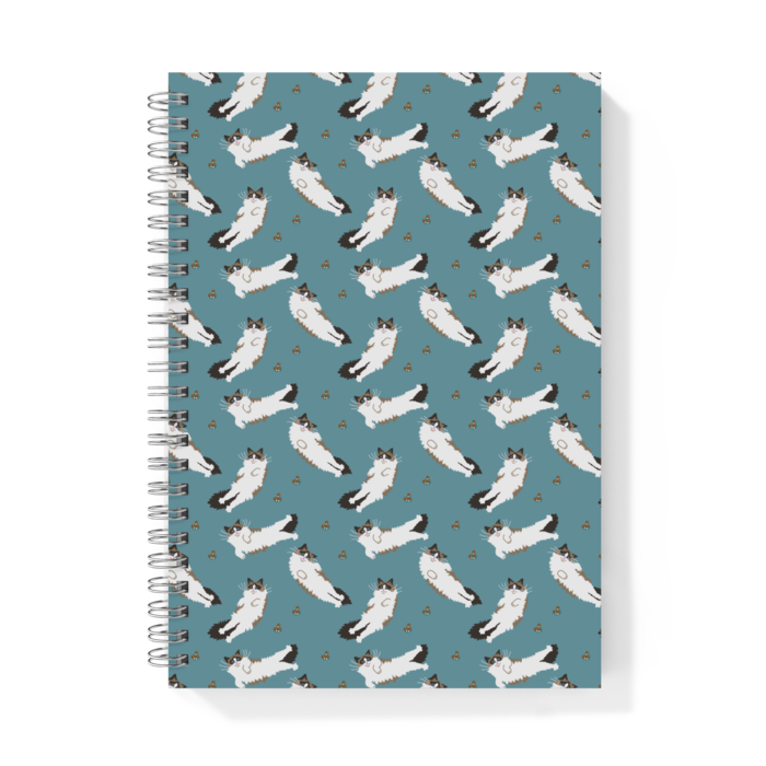 リングノート - A5