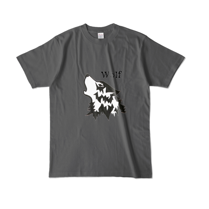 カラーTシャツ - L - チャコール (濃色)