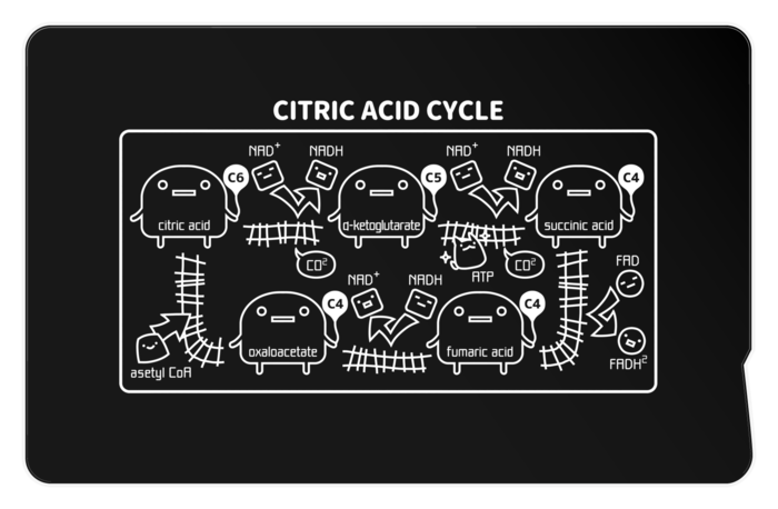 ICカードステッカー - 約85.7x53.9(mm)