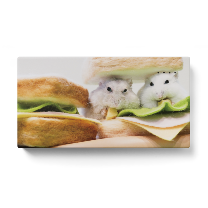 モバイルバッテリー - 123 x 65 (mm)(1)