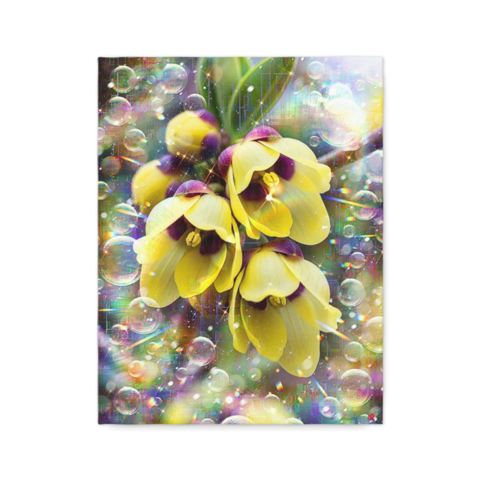 キャンバス - F6