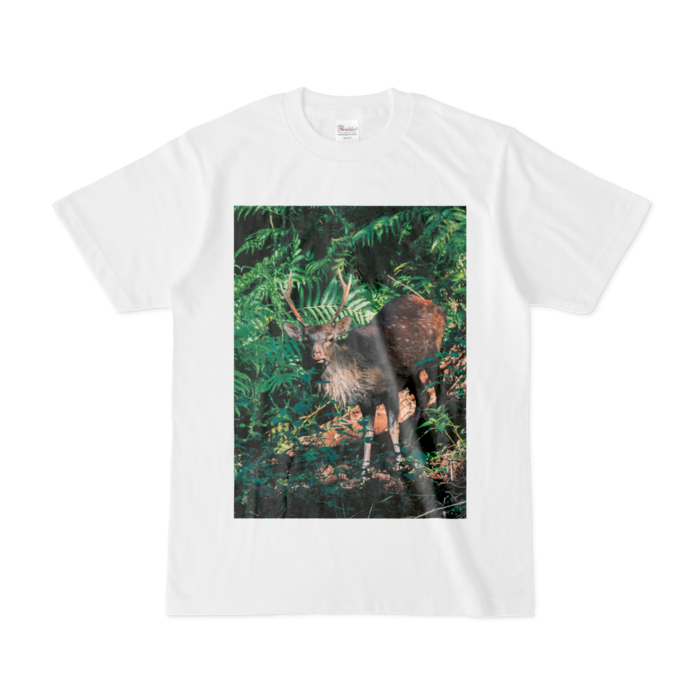 Tシャツ - S - 白