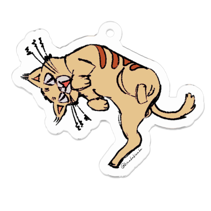 【好奇心のねこ】