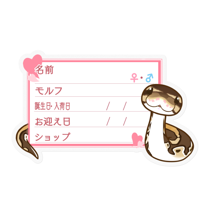 【🐍お名前ステッカー】ボールパイソン(ノーマルミニ) ‐ハート/ピンク
