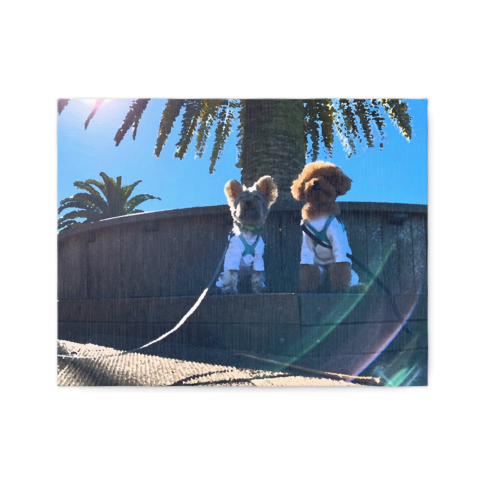 キャンバス - F6