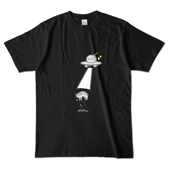 カラーTシャツ - L - ブラック (濃色)