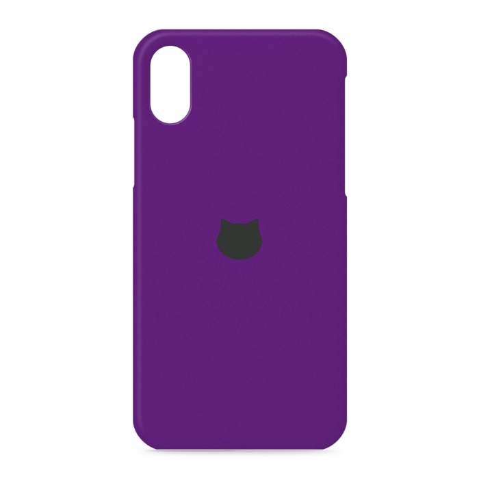 iPhone XS / X