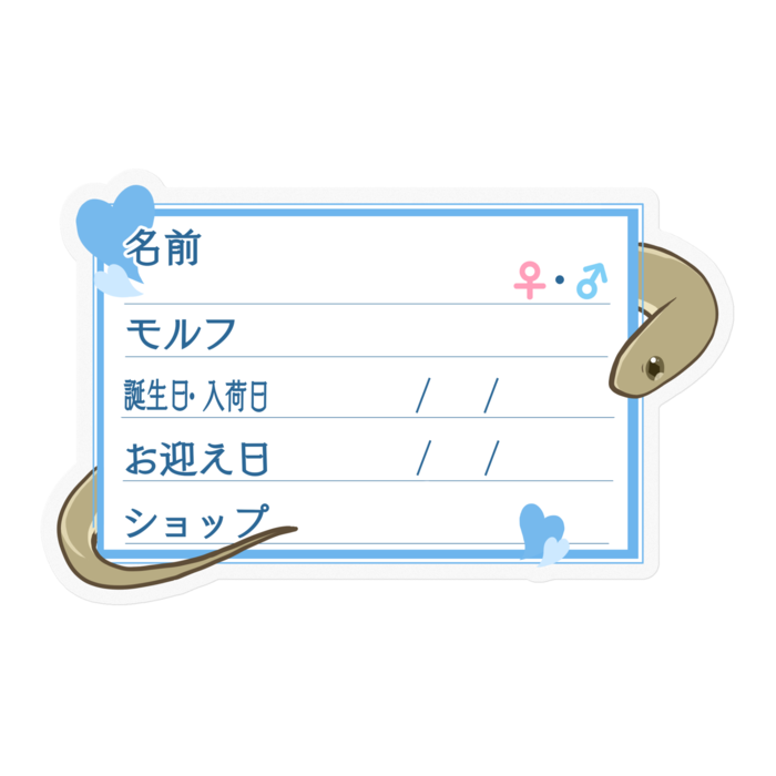 【🐍お名前ステッカー】ガンスタマゴヘビ ‐ハート／ブルー
