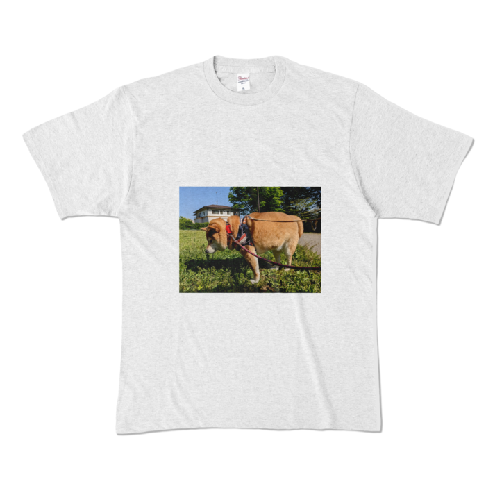 カラーTシャツ - XL - アッシュ (淡色)