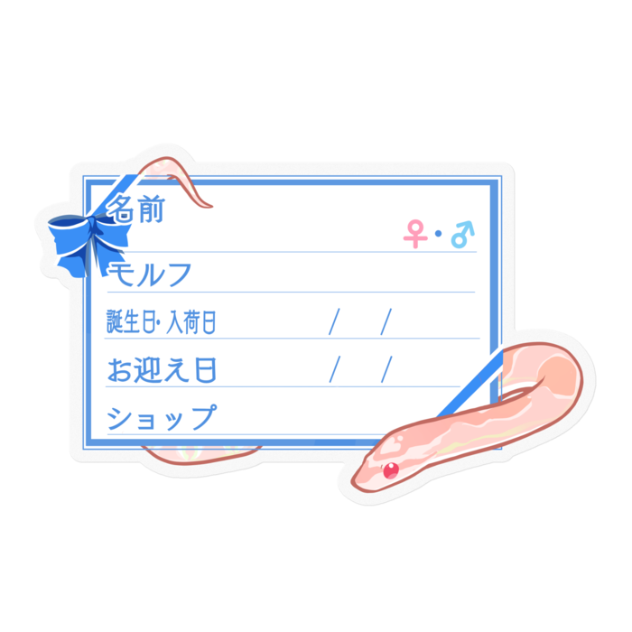 【🐍お名前ステッカー】コーンスネーク(サーモンスノー) - リボン／ブルー