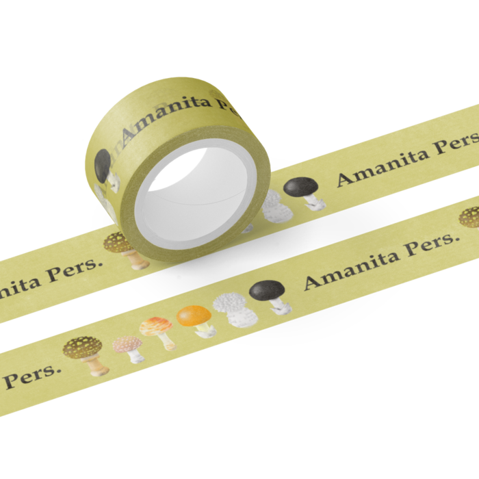 Amanita イラスト Amanita イラスト Bigmuryo