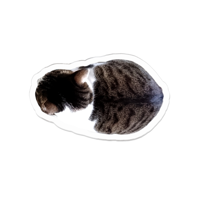 アクリルバッジ - 50 x 50 (mm)