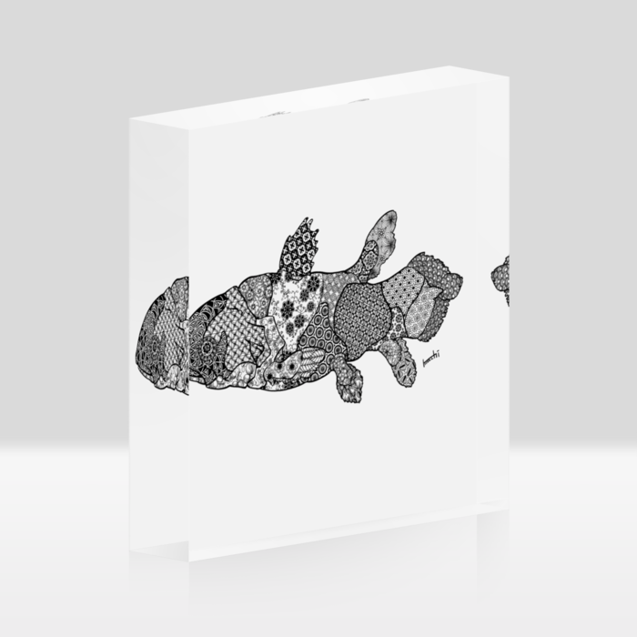 アクリルブロック - 100x100mm(1)