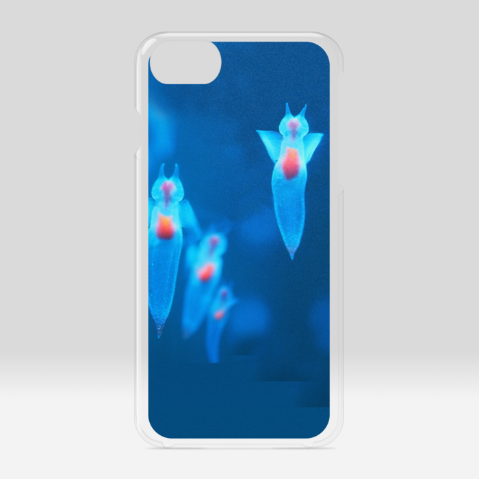 クリアiPhoneケース - iPhone 6 / 7 / 8 / SE2