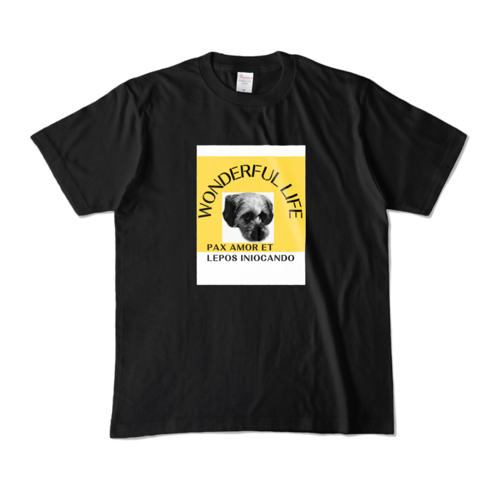 カラーTシャツ - M - ブラック (濃色)