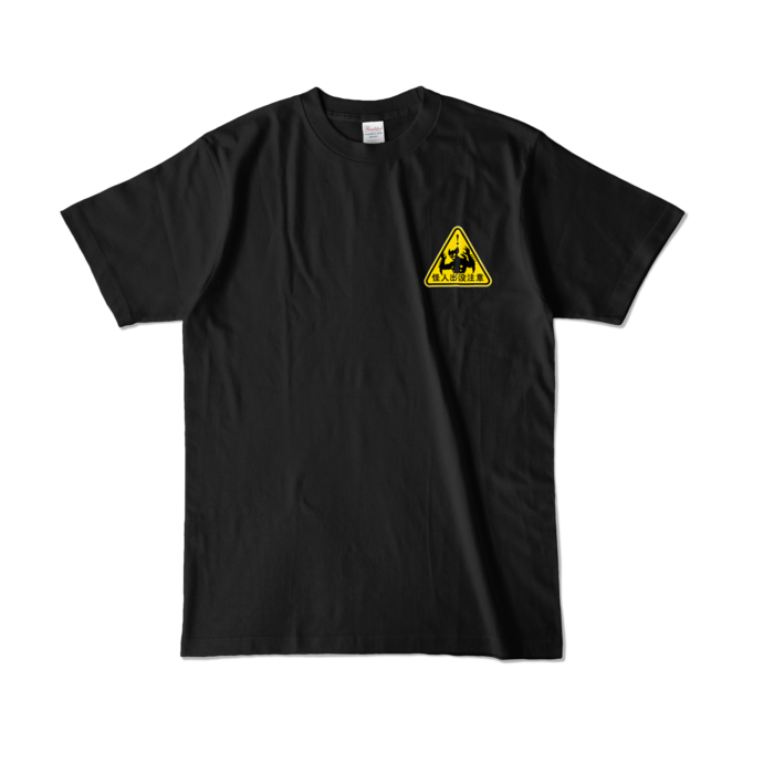 カラーTシャツ - L - ブラック (濃色)