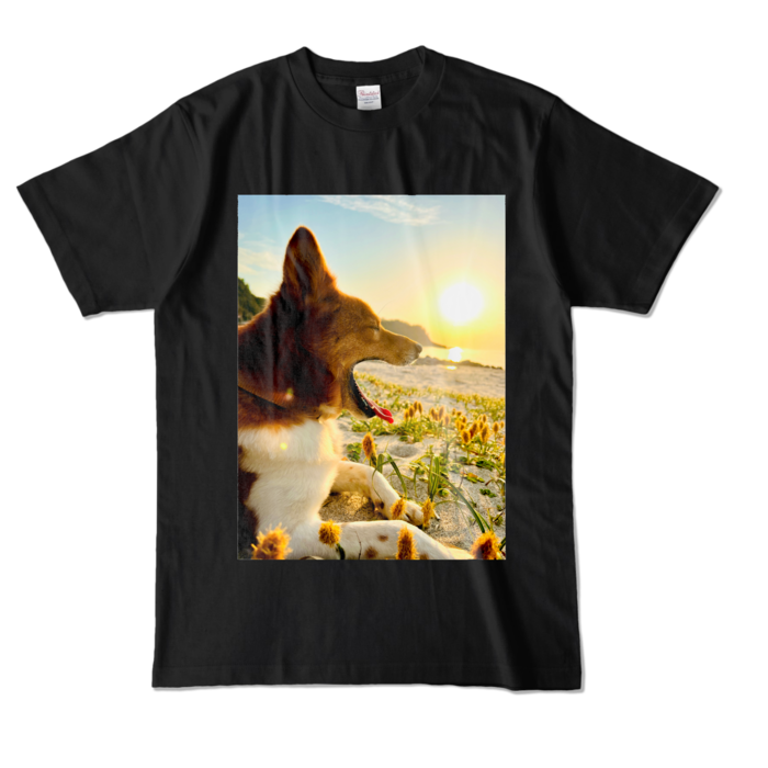 カラーTシャツ - L - ブラック (濃色)