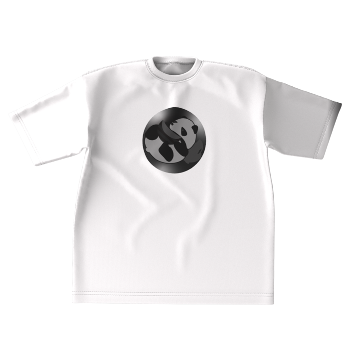 ビッグシルエットTシャツ - XL - 正面