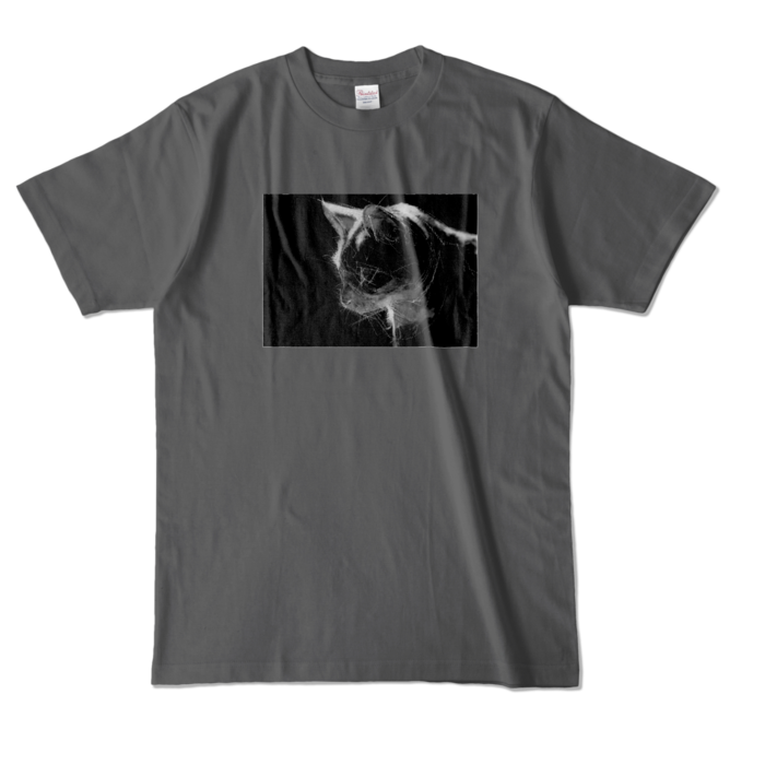 カラーTシャツ - L - チャコール (濃色)