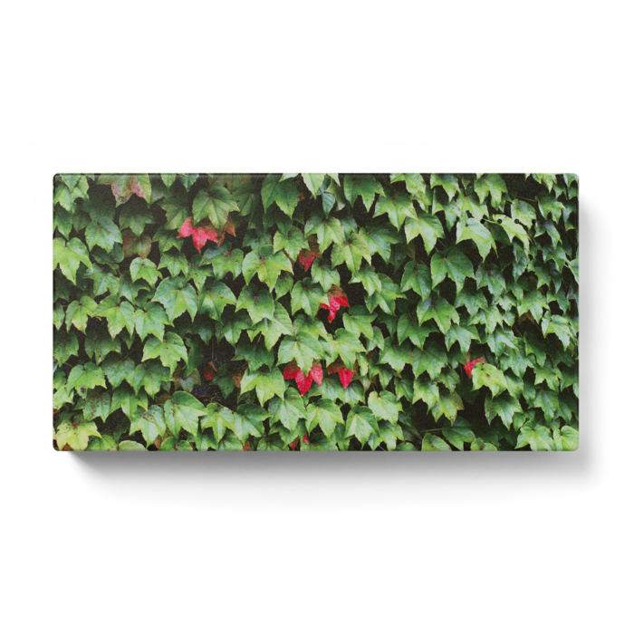 モバイルバッテリー - 123 x 65 (mm)