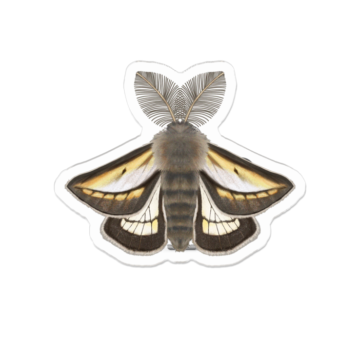 アクリルバッジ - 50 x 50 (mm)