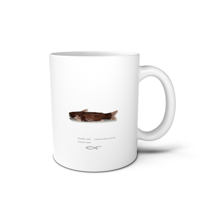 マグカップ - 直径 8 cm / 高さ 9.5 cm