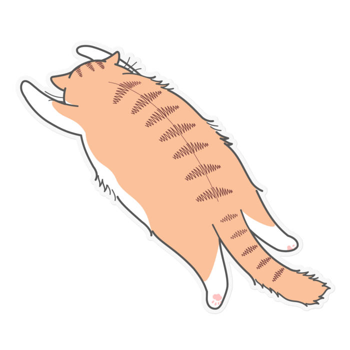 ステッカー - 160 x 160 (mm)クリア