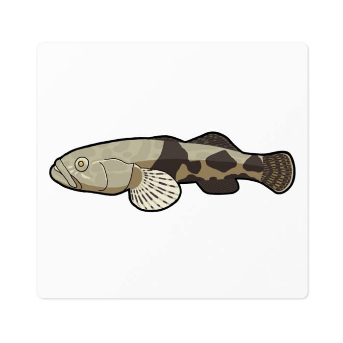 ステッカー - 100 x 100 (mm)(1)