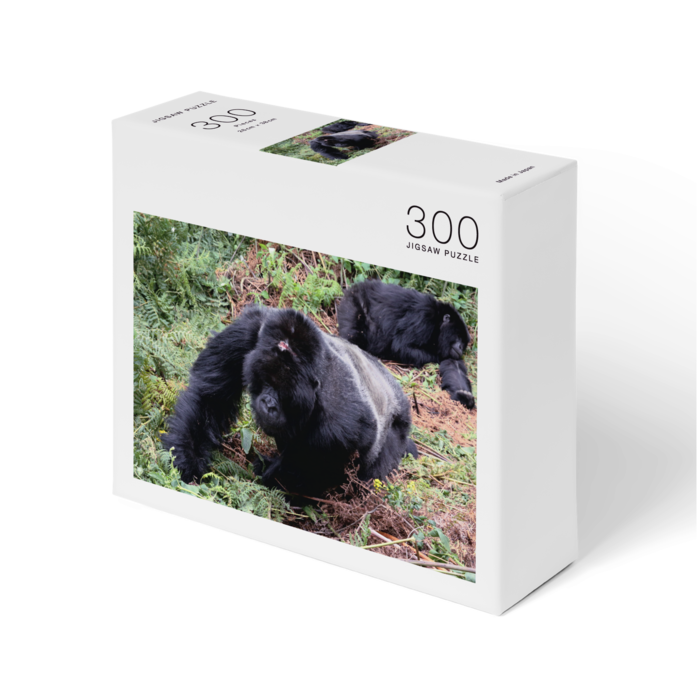 Gorilla Beringei Rwanda Puzzle Akimath Booth