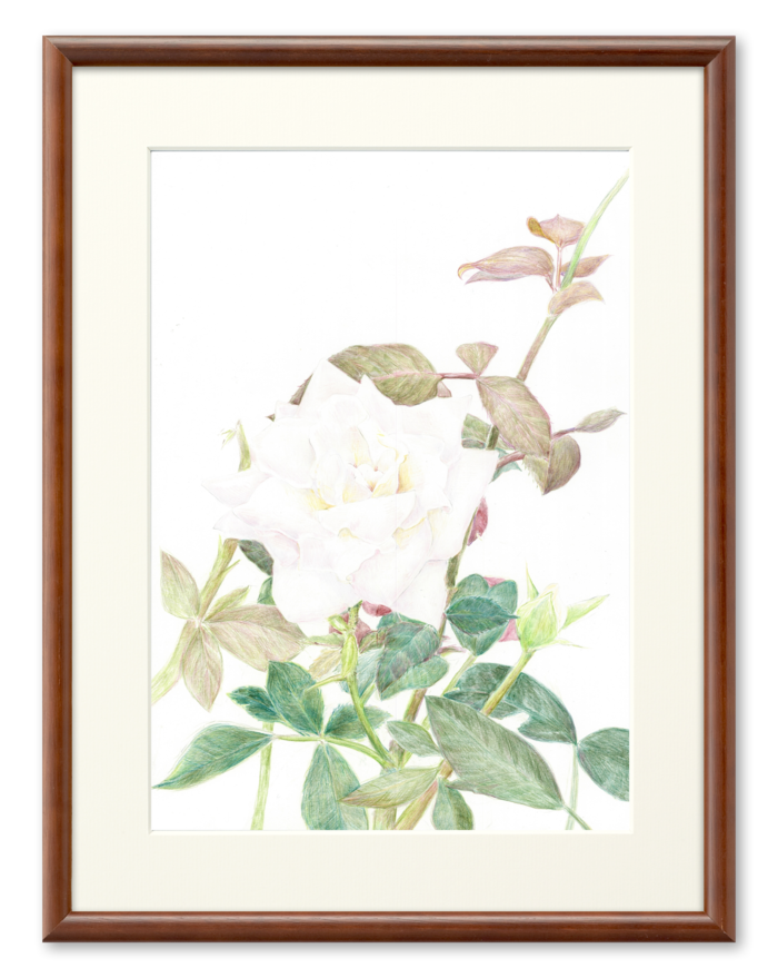 複製画(プリモアート) - A2