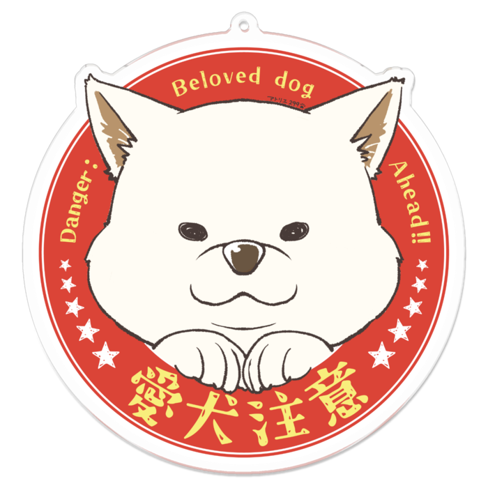 L（約100 x 100 mm）