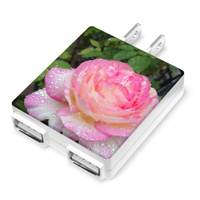 ACアダプター - 50×55mm