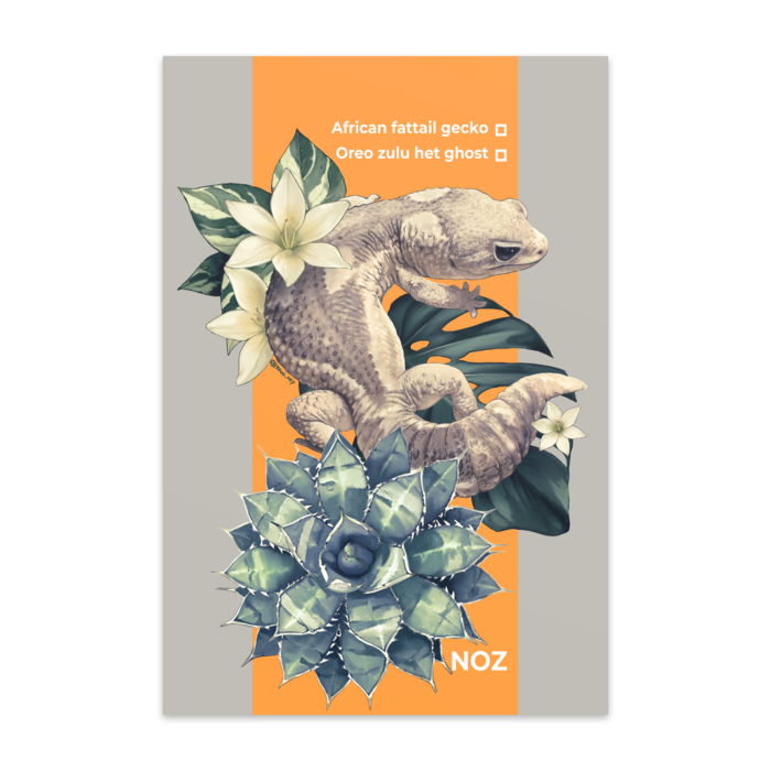 ポストカード(10枚セット) - ヴァンヌーボVGスノーホワイト195kg