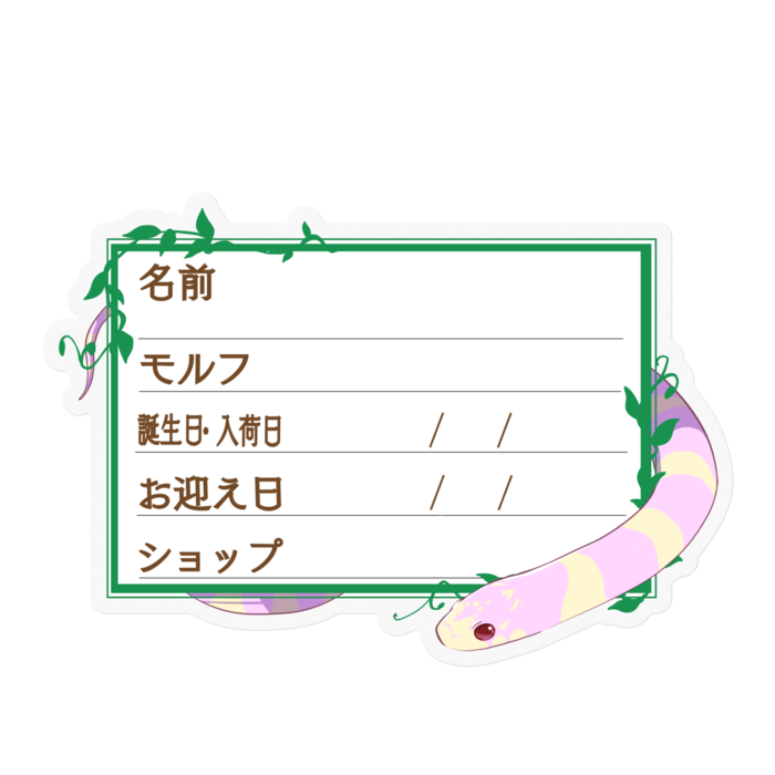 【🐍お名前ステッカー】カリキン(アルビノバンデット) ‐ツタ