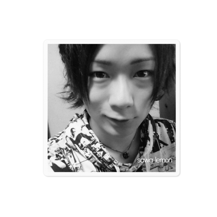 ステッカー - 100 x 100 (mm)