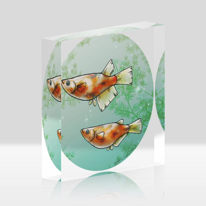 三色　ー　クリア／ 100x100mm