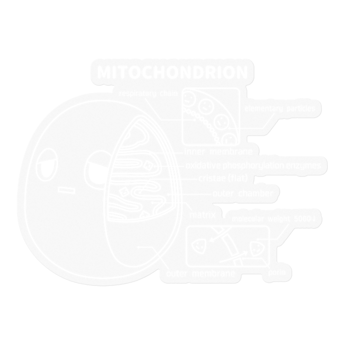 ステッカー - 100 x 100 (mm)
