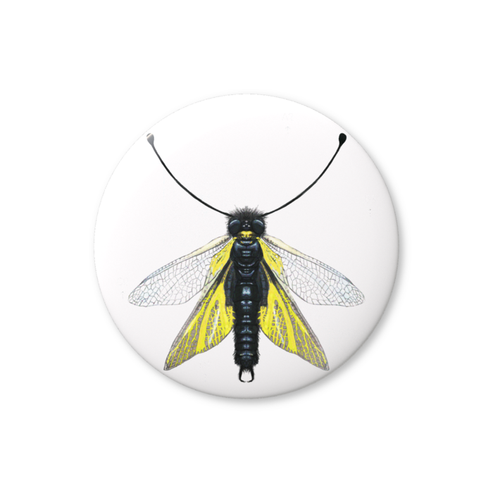 缶バッジ（バリュー） - 44mm