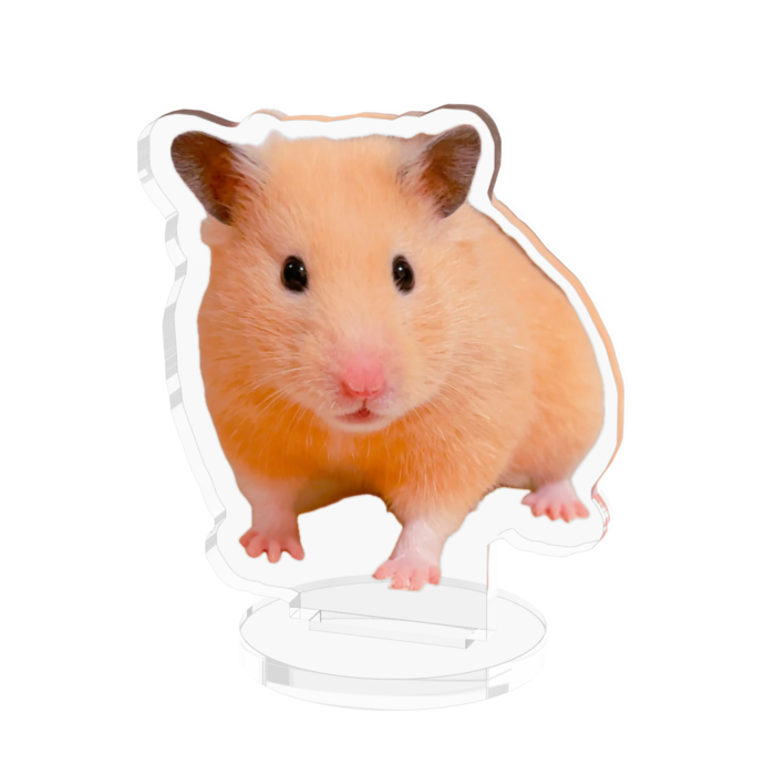 アクリルフィギュア - 50x50mm